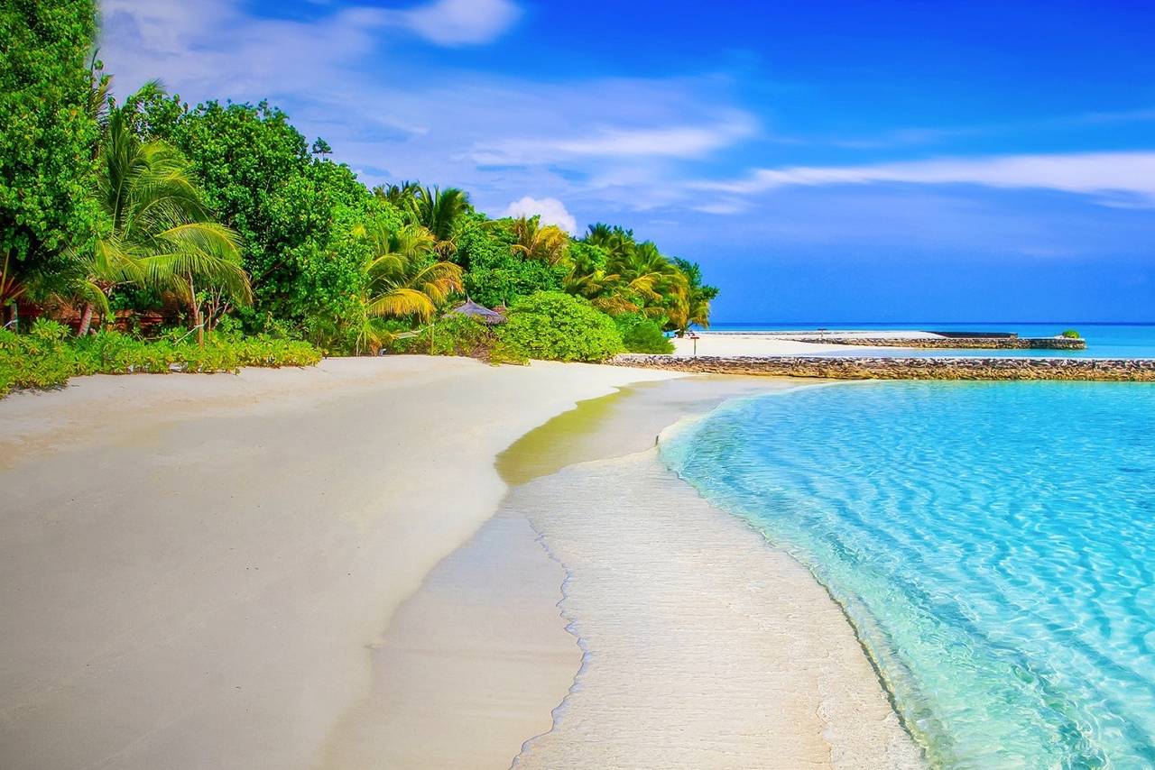 男性労働者のキッチンで主婦の前で殺虫剤を散布